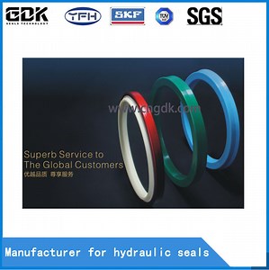 [Hot Item] Gdk High Quality SKF Original Idi Rod Seal for Engineering Machinery