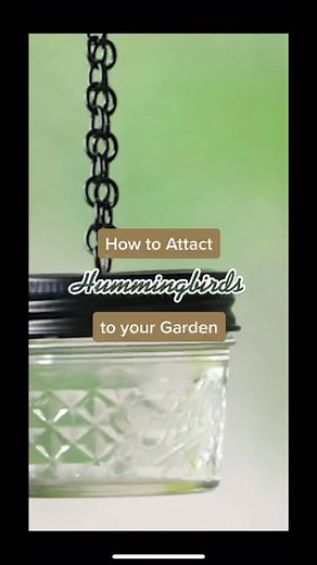 We ❤️ these pollinators. #diy #hummingbird #hummingbirdfeeder