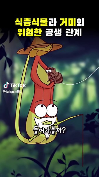 식충식물과 거미의 위험한 공생 관계 이야기