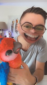 50K views · 2.1K reactions | J’ai acheté un #perroquet qui parle pour faire mes #live ! on va rigoler 藍 #tiktoklive #livestudio #ara #jouet #humour #teterigolote | Tête Rigolote | Facebook