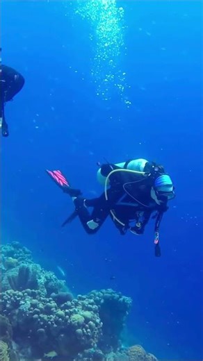 Prime Minister Who Disappeared in the Ocean