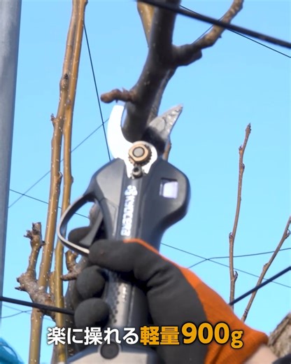 樹木の剪定から、切り落とした枝の処理に大活躍。 軽く扱いやすいので、手首や腕の負担を軽減。刃が閉じるスピードはクラス最速レベルの0.3秒。テンポよく作業がすすみます。 さらに刃の動きがトリガーに連動しているので、手ばさみ間隔で使えて作業効率がUPします。 充電式剪定ばさみ DSH1120L2 --------------------------------------------------- ✅最大切断枝径 25mm ✅楽に操れる軽量 900g ✅フル充電で約2,200カット切断可能 --------------------------------------------------- 希望小売価格 85,500円(税別) ▶https://www.kyocera-industrialtools.co.jp/products/pro/items/5932 | 京セラインダストリアルツールズ