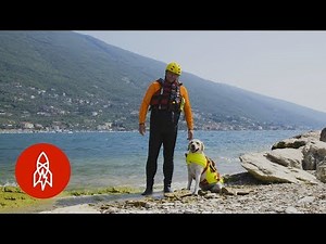 Meet Italy's Lifeguard Dogs