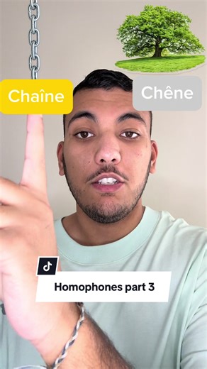 Welcome to French 🇫🇷 homophones part 2 Same sound, different meaning!!!!! #learnfrench #frenchvocabulary #languagelearning #frenchforbeginners