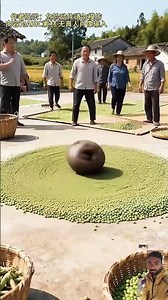 Iprici 148 shal #farming😲😲👌👌♥️♥️🦕🦕 #latestinbeautyl #nature #comedy #gadar2 #love #funny