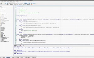 LollipopGo2.0第一节