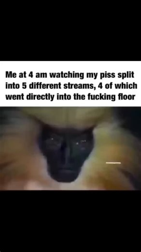 Home of the funky monkeys on Instagram: "Oh"