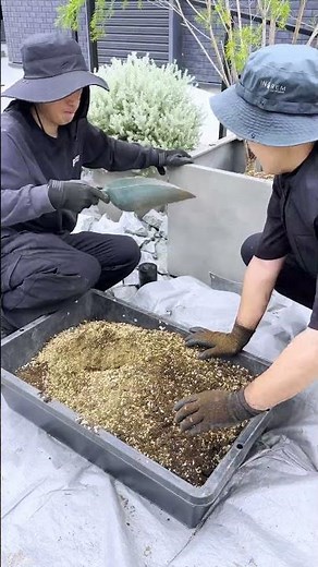 【姫路市｜玄関前植栽ビフォーアフター】黒い外壁に映える植栽へ