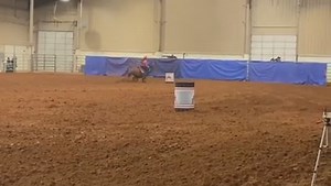 Just LoLo being amazing and Midland Tx being so supportive!!!! #lolotheladybeast | Fallon Taylor & Babyflo