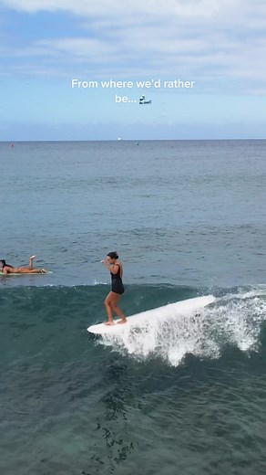 Tara in our Lola Black surfsuit 🖤 A timeless classic for every adventure girl. #surf #ocean #adventuregirl #swimwear #smallbusiness #ethicalfashion #ethicalswimwear #howtoshopethically #howtosurf #winkisuits