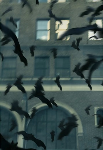 Caterpillar Batman Boots: Unleash Your Inner Hero