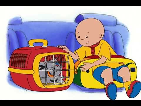 Caillou Star Light, Star Bright S02E01 Cartoon for Kids