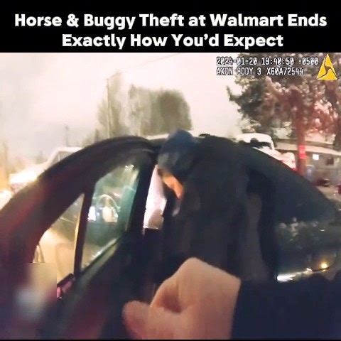 Horse & Buggy Theft at Walmart Ends Exactly How You'd Expect #COPWATCH #bodycam #dashcam #footage #Crime #policeofficer #cops #crimestory | Cobden Golf Club