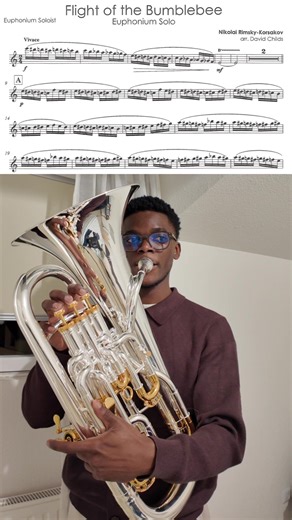 Fligth of the bumblebee | flight of the bumblebee