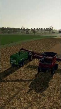 Harvesting Canola with Our BIG Case Harvester! 🌾 | Farming Simulator 22 #fs22 #farmingsimulator