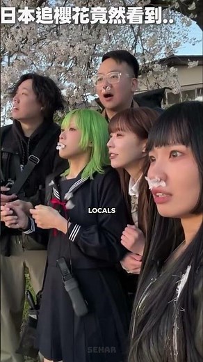 The Mistake Tourists Keep Making During Japan's Cherry Blossom Season 🌸