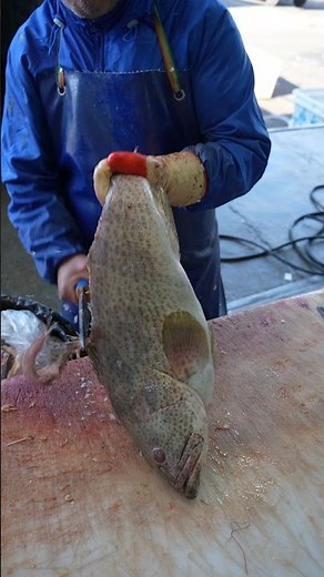 How to Fillet Grouper for Delicious Meals Fast