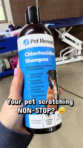 Pet Honesty Chlorhexidine Shampoo for Itchy Skin Relief