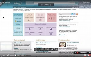 蛋白数据库uniprotKB intro