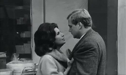 The Soft Skin (1964)