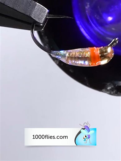 Perdigon Fly Tying Tutorial - Episode 12