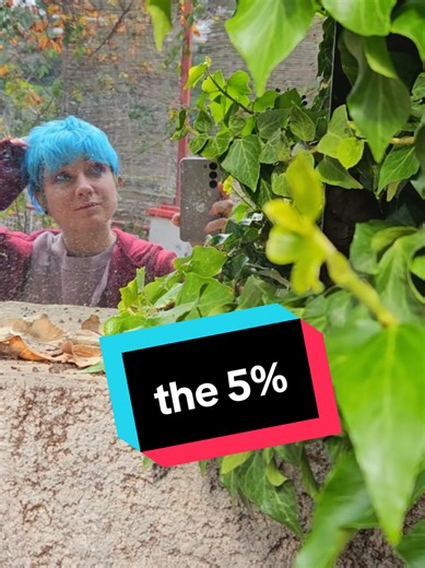 just out here making imperfect music from the heart. if that's not for you then feel free to keep scrolling 🫶 #indiefolk #altfolk #humanmusic #singersongwriter #emotions