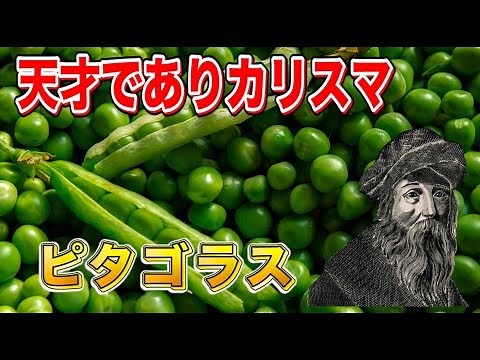 西洋哲学史 古代ギリシャ哲学解説【ピタゴラス】【インスタント哲学】