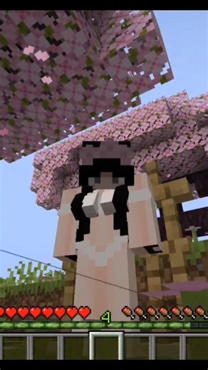 Minecraft Gender mod🌸
