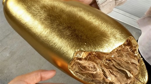 这玩意明明是全省公认的好东西，出了省却根本看不到。。。却根本看不到。。。....94221