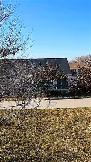 We finally understand how birds fly #science #physics #birds #experiment #reels