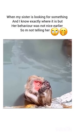 @sisvibesx4 on Instagram: "#sisterhood #sistas #sistaluv #sisi #sisterlove👭"