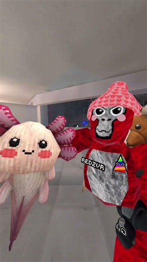 #gorillatagquest #gorillatag #gtag #gorillatagvr #funny #monke #monkey #funnyshorts #REDZVR