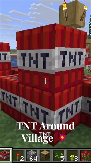 I Put TNT All Around a Village… This Happened! 💥 #minecraft #detioos #shorts