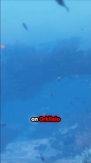 Unlocking Admin Powers: Epic Fortnite Flips!