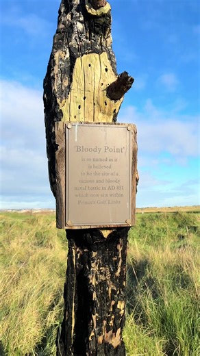 Come play Bloody Point at Princes golf club with us 🥶❄️ #par3 #golftok #frozen #swing #princes