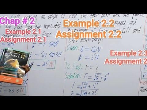 Example 2.1, Assignment 2.1, Example 2.2, Assignment 2.2, Example 2.3, Assignment 2.3, Class 11 phy