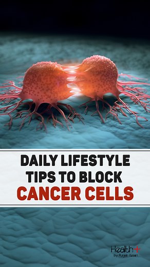 Daily Lifestyle Tips to Block Cancer Cells #cancer #cancerawareness #health | Health