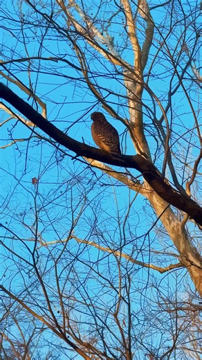 It’s always a good day to explore the outdoors! | Illinois Department of Natural Resources