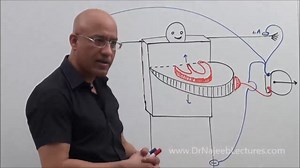 ECG_ Mastering Chest Leads
