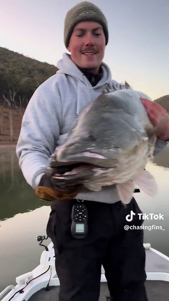 Murray Cod Fishing Techniques in Australia