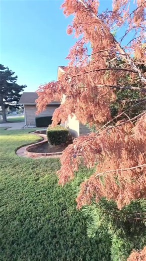 Shoya Garrison REALTOR on Instagram: "✨️✨️809 Canterbury Blvd ~Altus, OK✨️✨️ ~4 Bedroom ~2 Bath ~1 Office ~2 Car garage ~2100+ Sq ft of living space ~Central entry ~Kitchen-breakfast bar, electric stove, microwave & frig ~Living room w/gas fireplace ~Laundry area ~Small sunroom ~Pella windows ~Rain gutters & downspouts ~HVAC-2007, 5-ton ~Rainbird sprinkler system-2008 ~Double gate in backyard ~Large open patio ~Roof-2018 ~~Sidewalks throughout the neighborhood!! $236,000 Shoya Garrison, REALTOR 