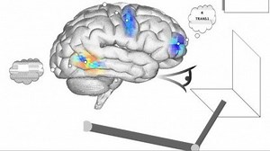 Wissenschaft: Spaun simuliert das Gehirn - Golem.de