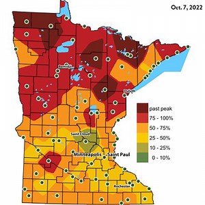 17K views · 255 reactions | Have you seen any sprinkles of yellow or...