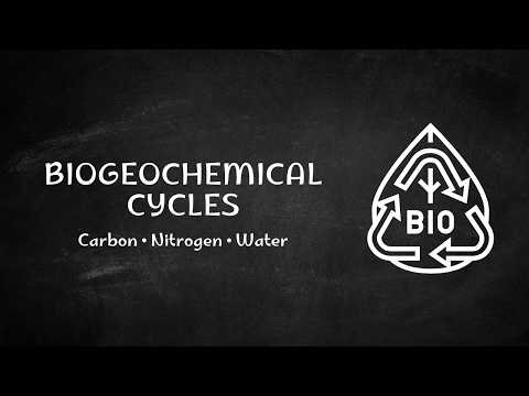 Biogeochemical Cycles Explained | Carbon, Nitrogen & Water Cycles