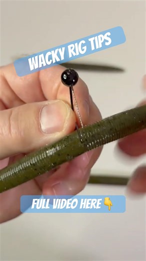 🔥WACKY RIG - Tips And Tricks🎣🔥#fishing #bassfishing #largemouthbass #bassfishingtips