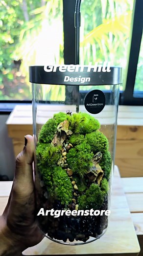 Green Hill design #terrarium #tropical #forest | Artgreenstore