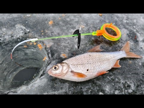 Крига тане почінає брати крупна тарань 