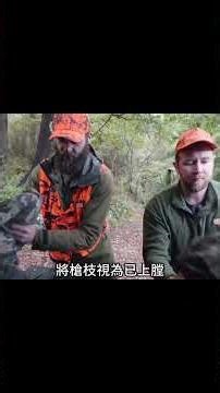 哪些槍需要執照？紐西蘭槍枝安全必知 #紐西蘭 #槍枝執照 #狩獵安全 #槍枝種類 #槍枝安全 #紐西蘭狩獵 #狩獵技巧 #紐西蘭槍枝法規 #安全狩獵 #槍枝管理 #紐西蘭生活