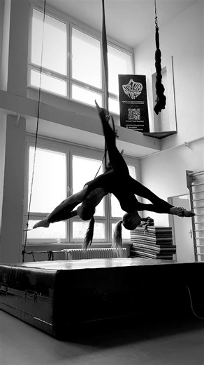 Inspiring Aerial Hoop Duo with Amazing Tricks