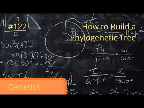 Biopedia episode 122- How to Build a Phylogenetic Tree